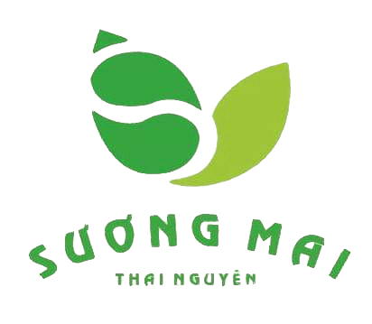 02ade96a4b98b1c6e889