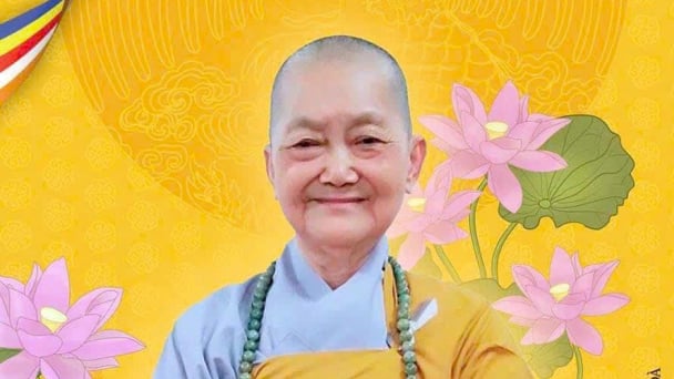 Ni trưởng Thích Nữ Như Bửu, Chứng minh Phân ban Ni giới tỉnh BR-VT viên tịch