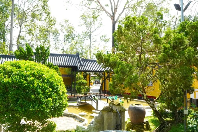 Anh 4 175591872716226621227