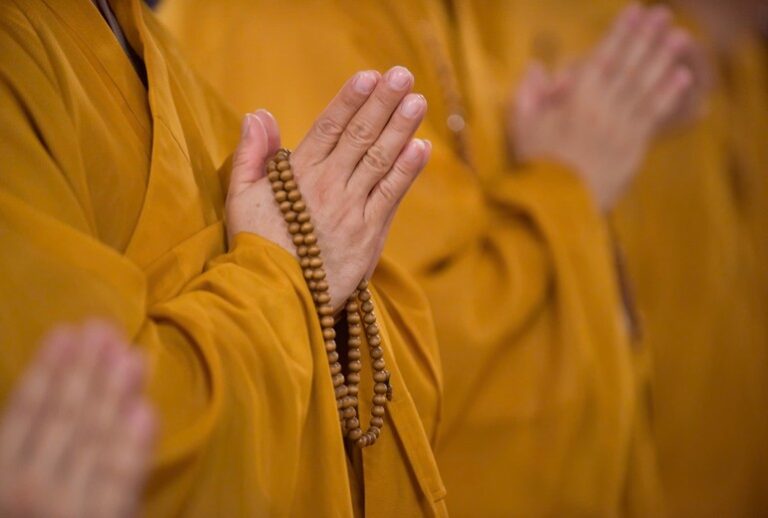 Anh quang dao 8325 28