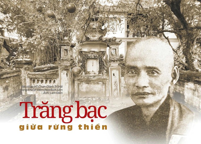 Cut trangbac 4975 5206
