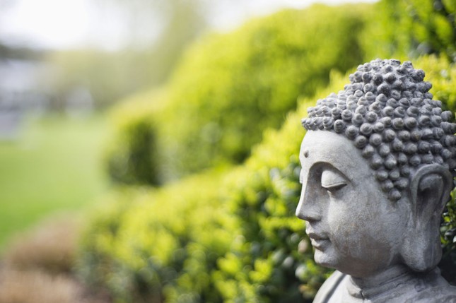 Statue of buddha in a garden 157860566 5b42e920c9e77c0037f19892 6340