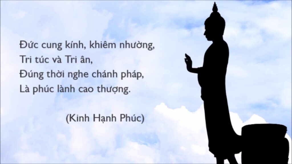 Hanhphuc11
