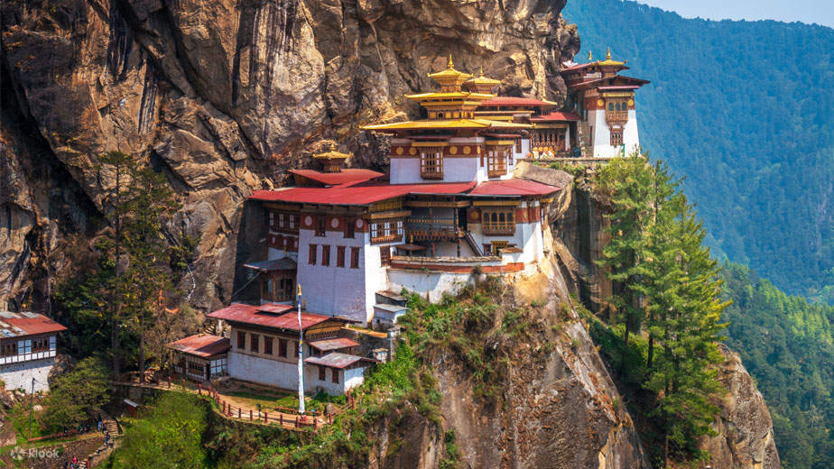 TourngàyĐibộleonúitigersnest