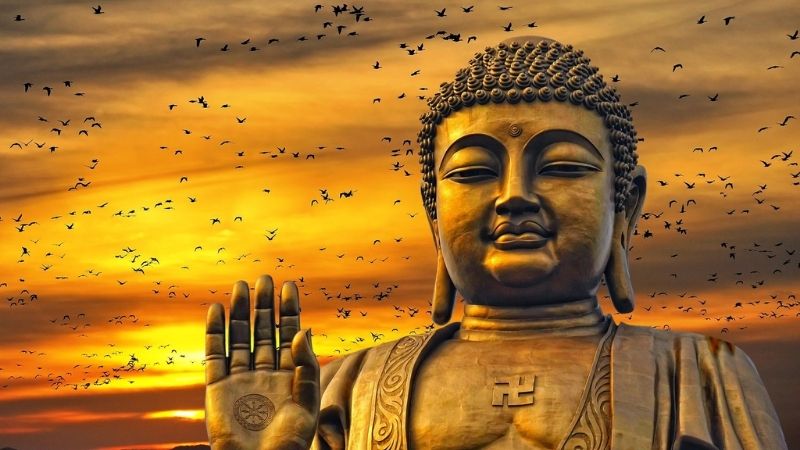 Anh phat dep lam hinh nen 8