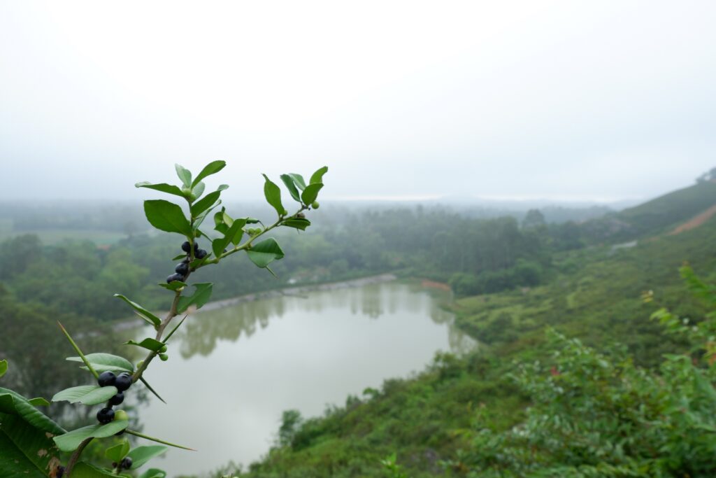 Chua tien lu(1)