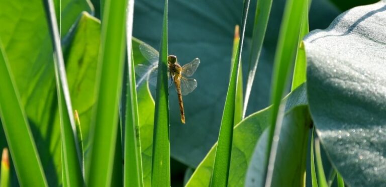 Làm thế nào để con có thể thực sự mở lòng ra?