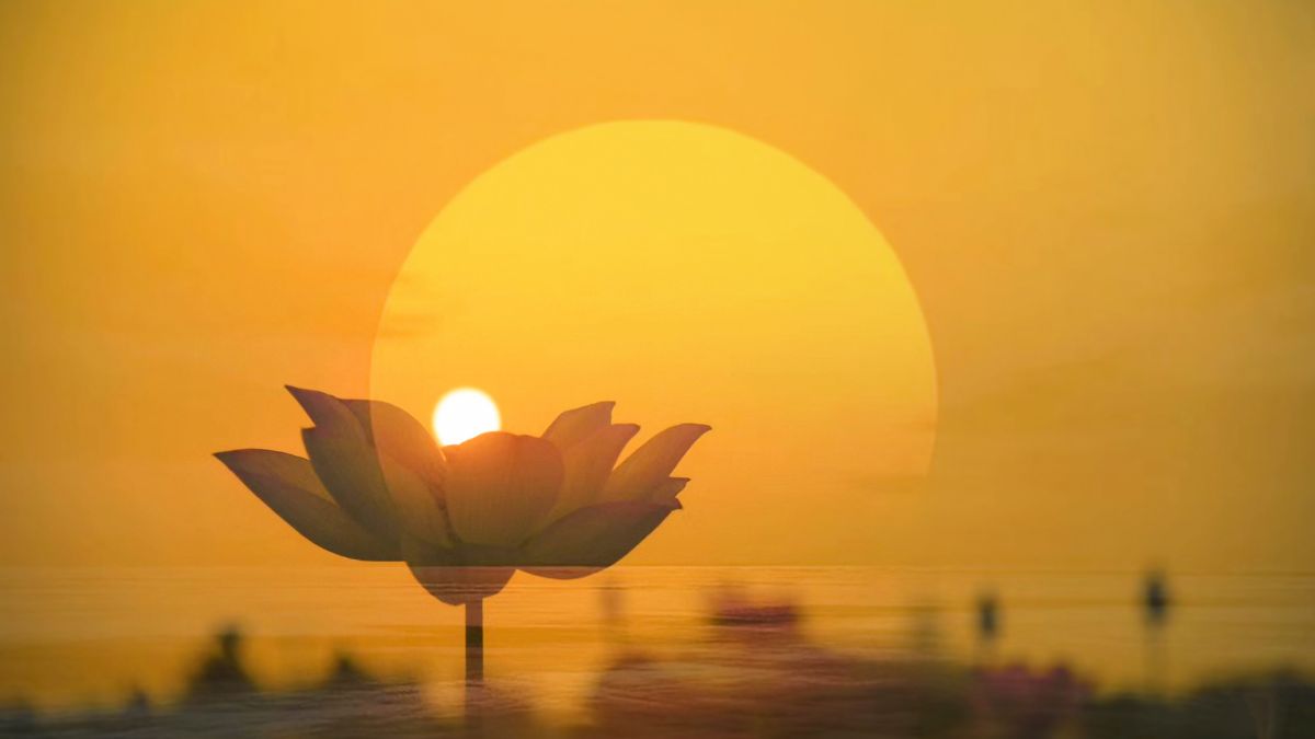 Hinh nen vu lan bao hieu thumbnail