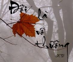 Images (13)