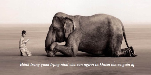 Nghi luan ve tinh khiem ton