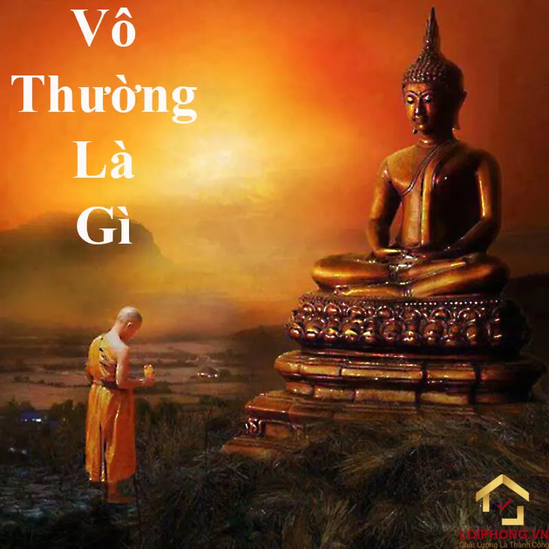 Vo thuong 02