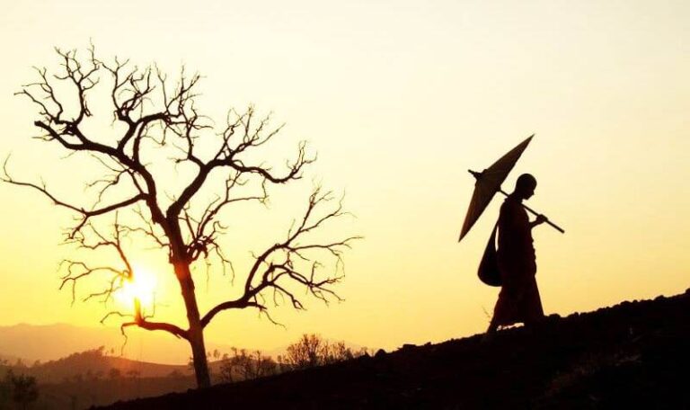 Compressed by jpeg recompress