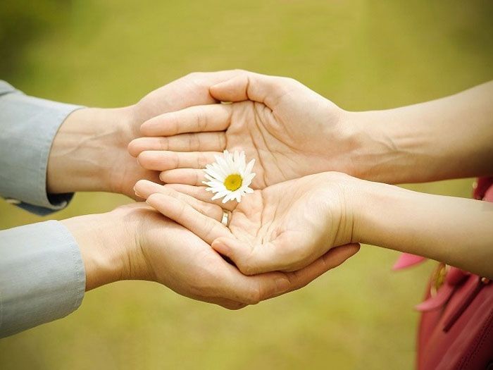 Voh cao thuong la gi 1