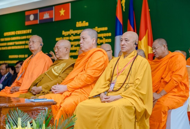 2c4035c7 8af2 4eb6 8d09 b25392df3fee crop 7121