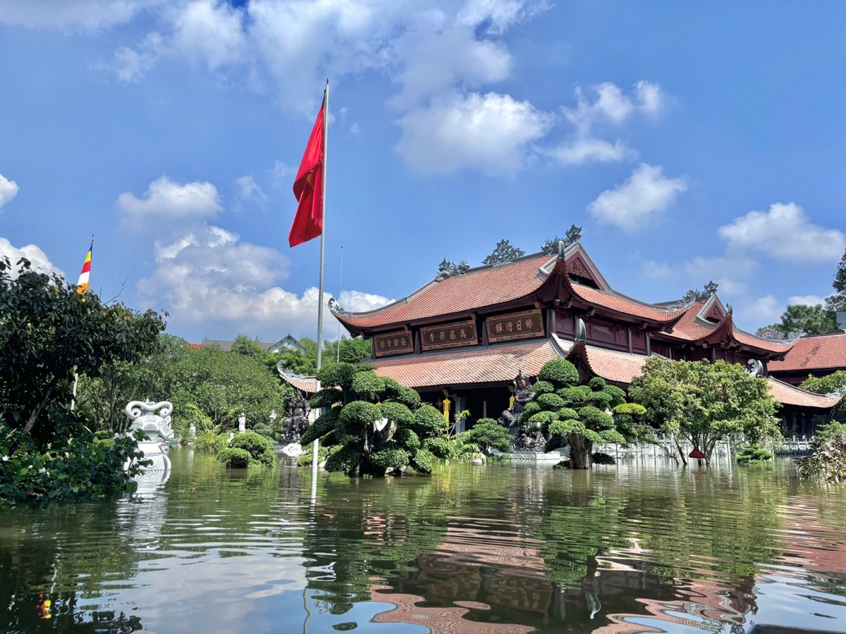 30bbe3c1 86e8 4cf1 90ff c1ede48c31c7