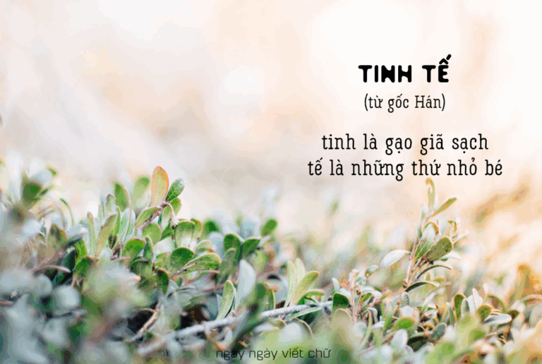 5052594 upload 2020 6 18 16 42 58