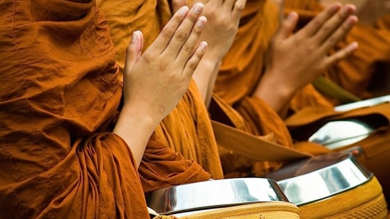 Giu gioi co muoi su cong duc 175614