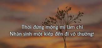 Images (1)