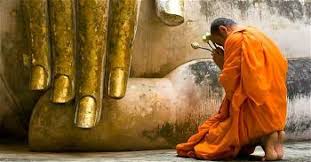 Images (8)