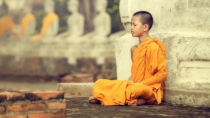 Lua chon phap mon tu hoc nhu the nao 175219
