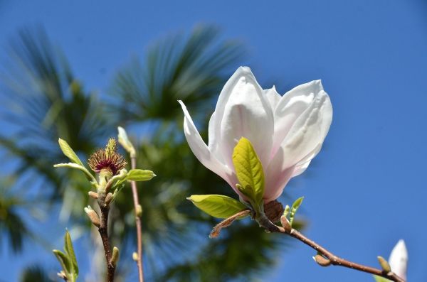 Nguoi thuong minh 0902