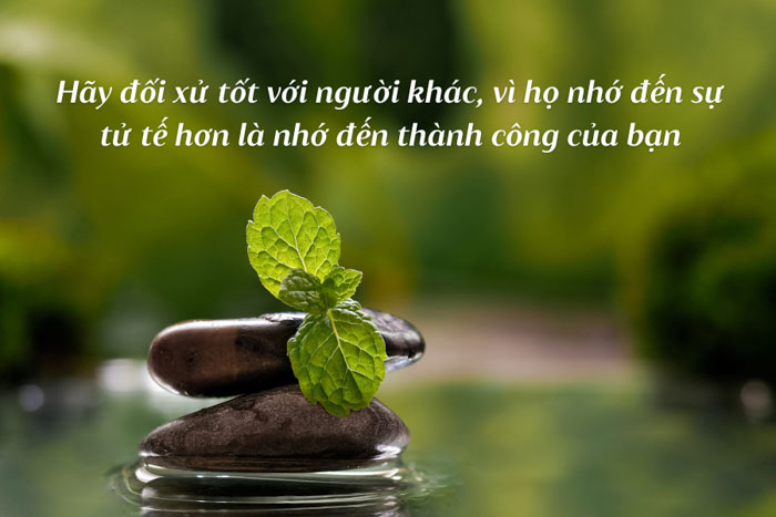 ThẢo uyÊn 306
