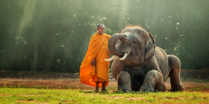 Thich phuoc son tinh do qua cai nhin cua thien 1634040630 oihwa