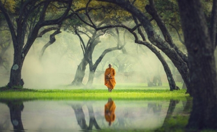 Thich thai hoa thong dong giua doi dong thuan nghich 1638188797 6wbuu