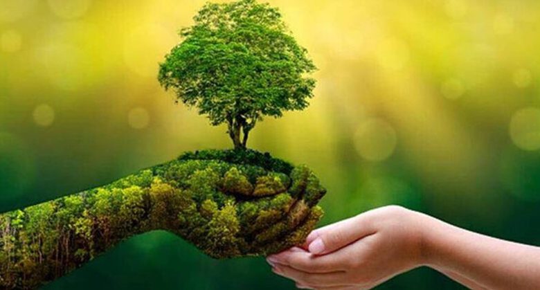 Thien nhien 1 780x419