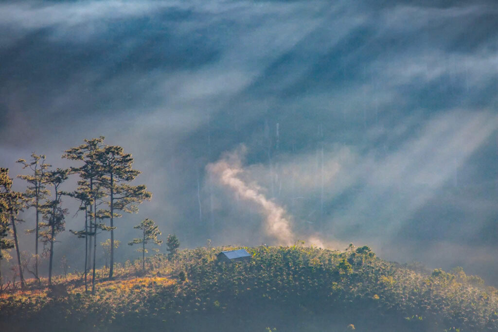 Z7153461887132 38efebf05ef94c369a98ea8279c1ee13