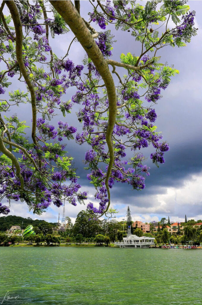 Z7153518846995 9c0cb94031a6d1139364b39bdeecb97a