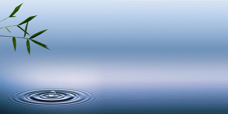 Zen giot nuoc mat ho 2b 750x375