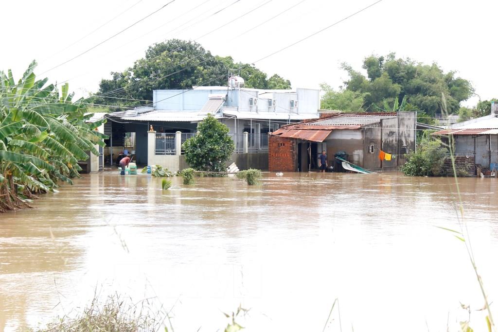 133945 lam dong nhung suat com nghia tinh den voi nguoi dan bi chia cat do mua lu