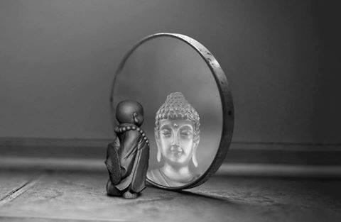 18157870 10212946540077603 4657128704978609592 n