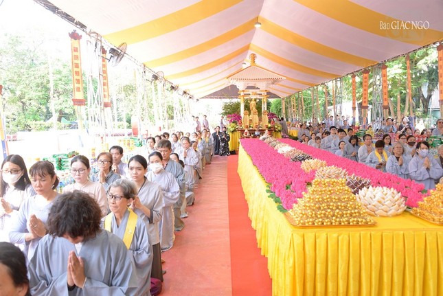 2025 11 08 142911 2 4986