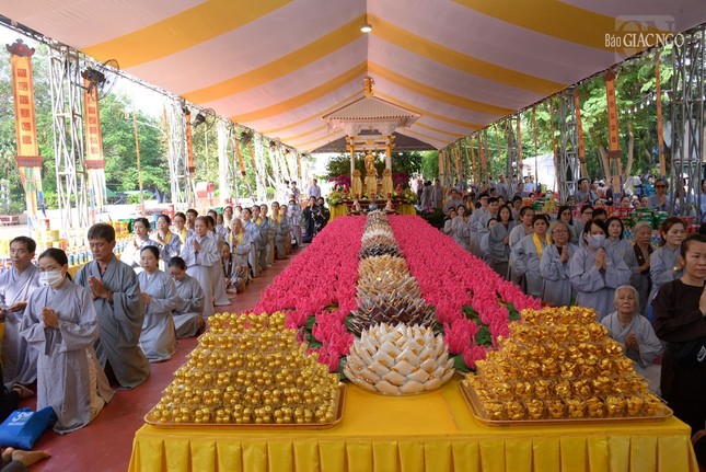 2025 11 08 142923 922