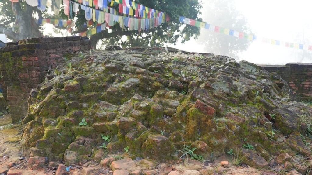 47bbde42 e2be 4f21 9da0 f7a38377123b