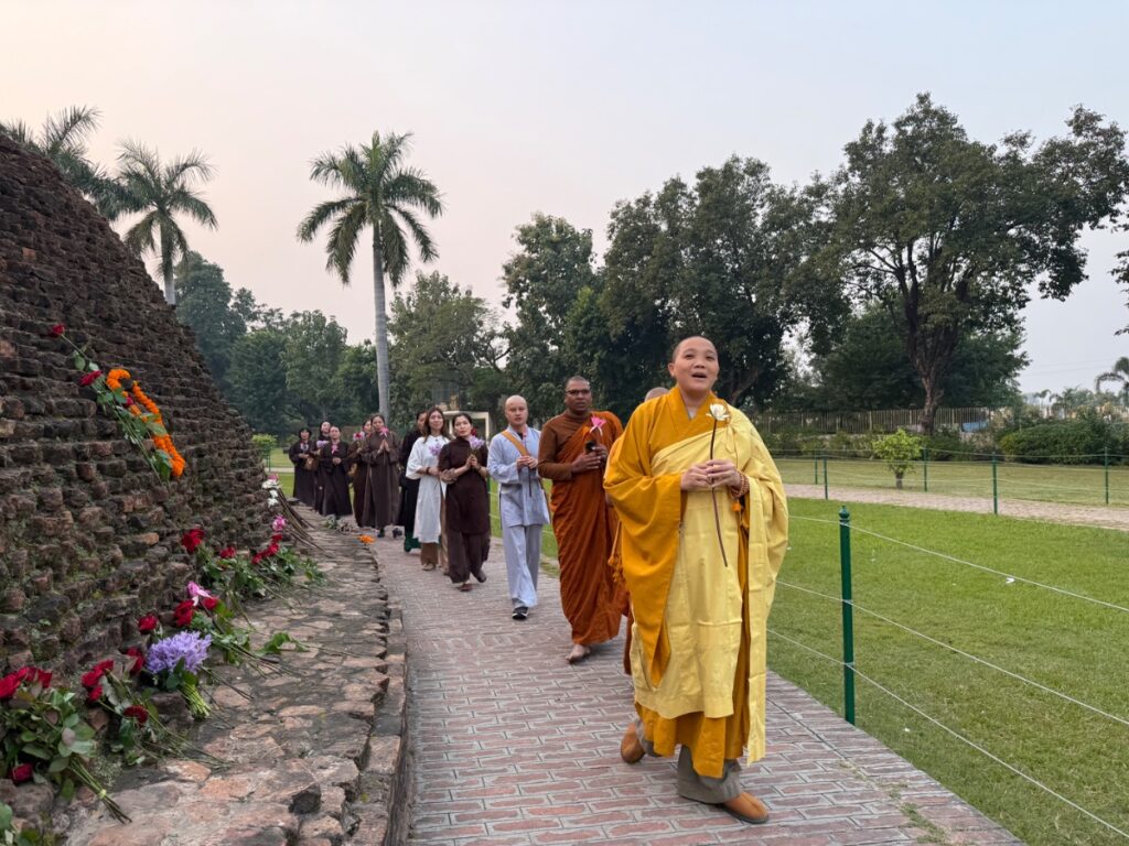 5fe8b941 afac 4a8f a66d f7b4a5de3e5e