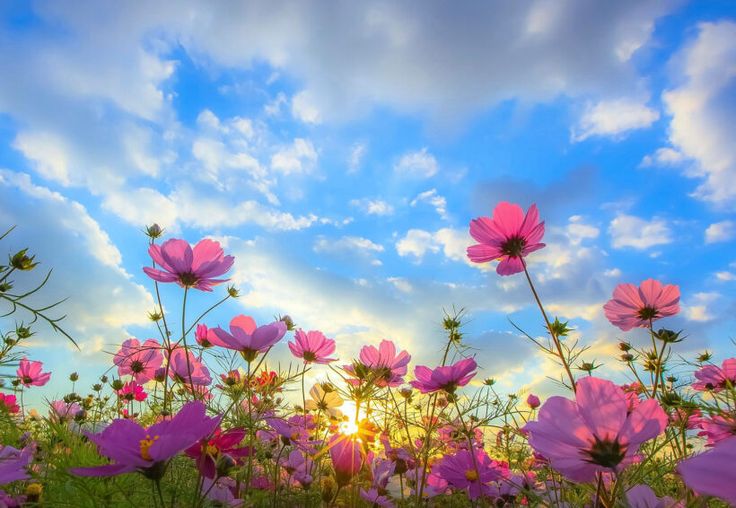 8bfbf07d136ae526e46e28937da3714c