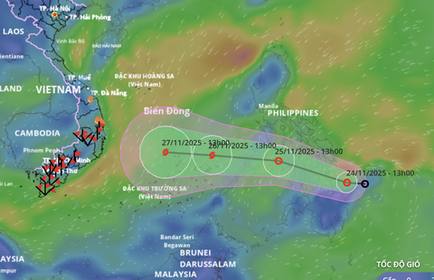Ap thap nhiet doi bao so 15
