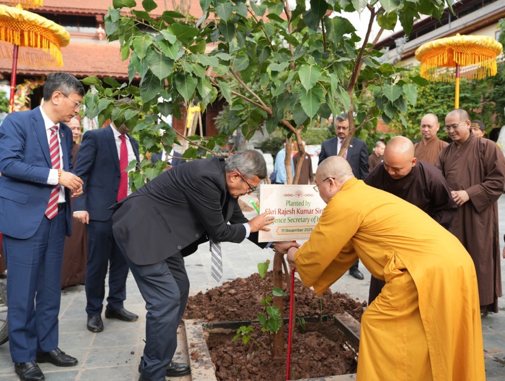 Eea495ff e439 4da3 8fb0 63a40dd7c1b9 crop