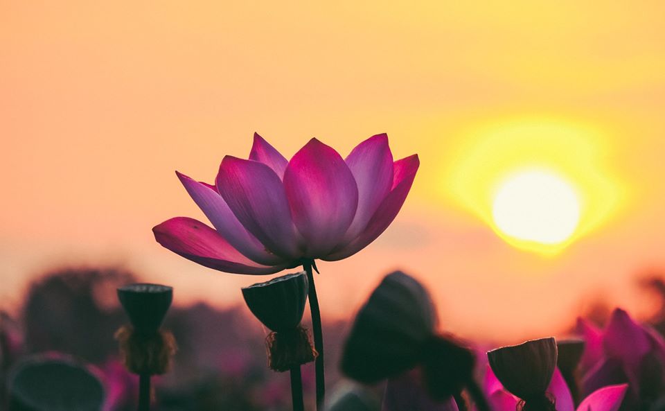 Giu tam duoc binh an trong cuoc song 1