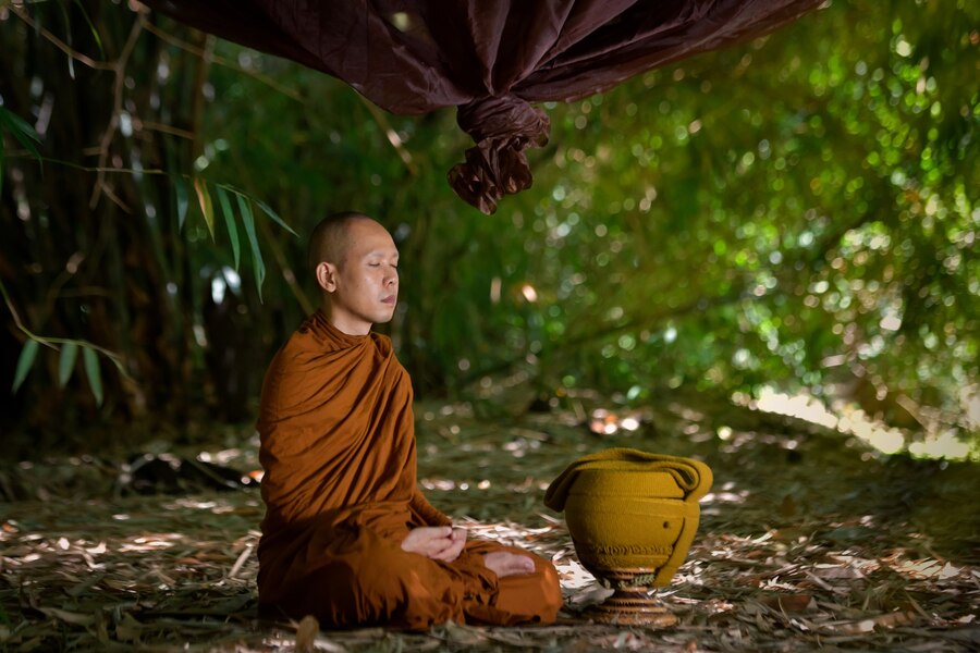 Hanhdauda tuhanhdauda nguoiphattu