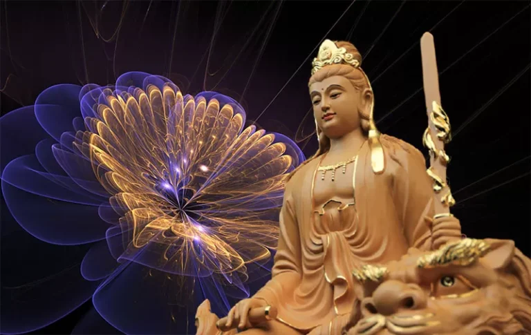 Hinh anh phat van thu su loi bo tat dep nhat 11