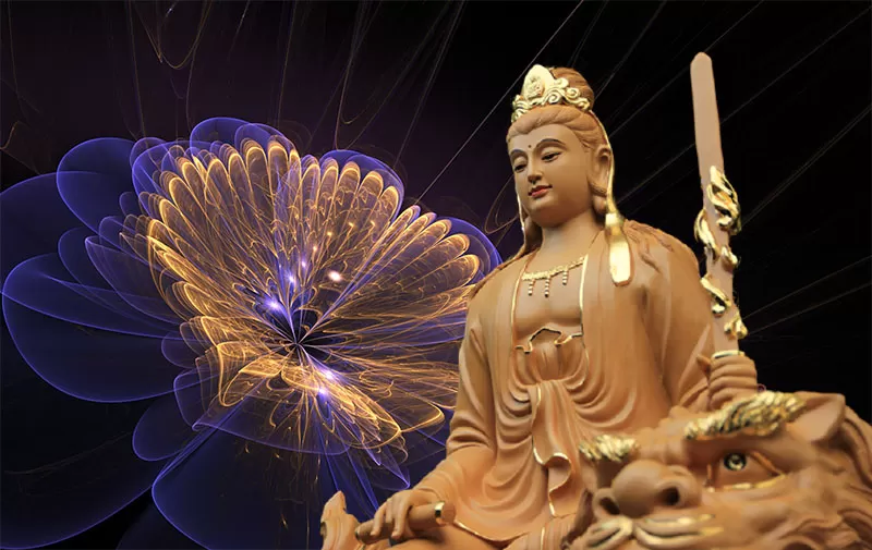 Hinh anh phat van thu su loi bo tat dep nhat 11