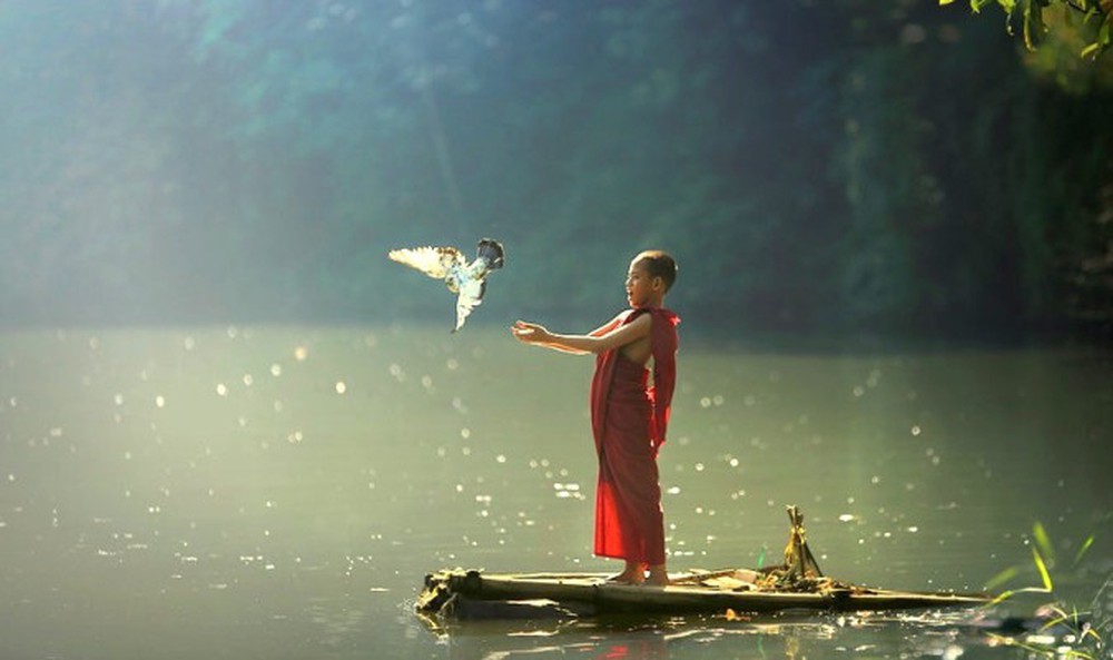 Hinh anh tam tinh lang cho doi an nhien