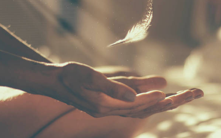 Kiep sau 1513558435872