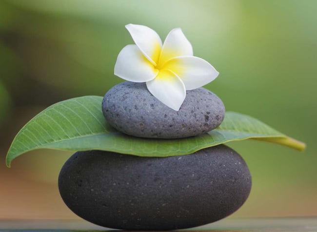 Meditation rocks petal 1494495527153