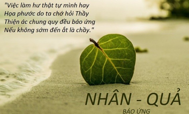 Quy luat nhan qua 2 1