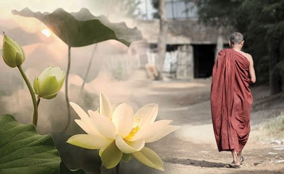 Tam an van su an song an vui binh tam quan sat khoi tam tu bi 3